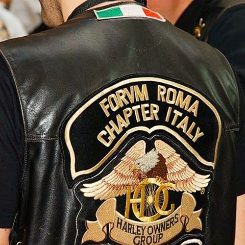 11208159_1431459330503576_1908015212_n